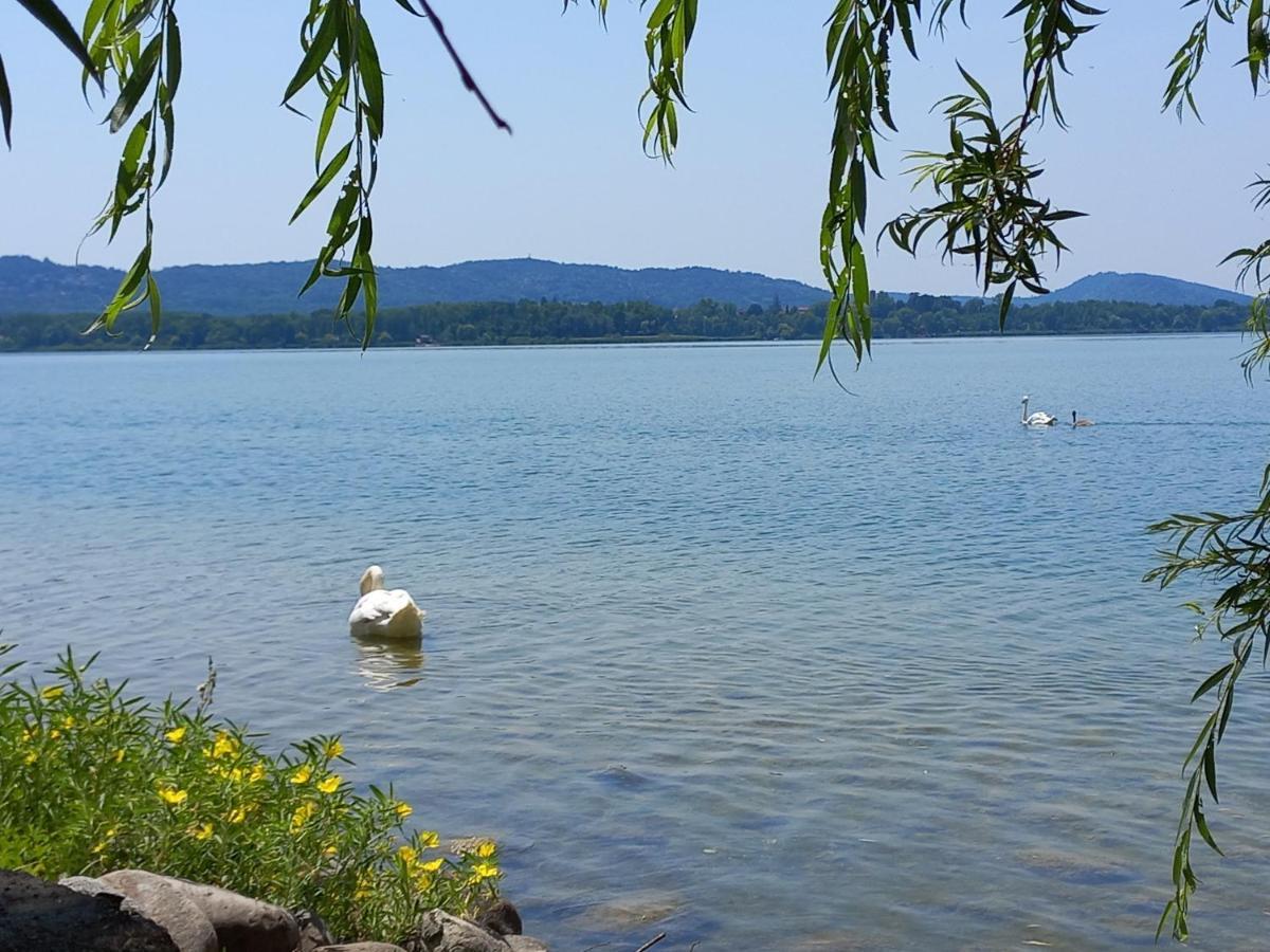 Appartamento Miralago Con Giardino Sul Lago Gavirate Exterior foto