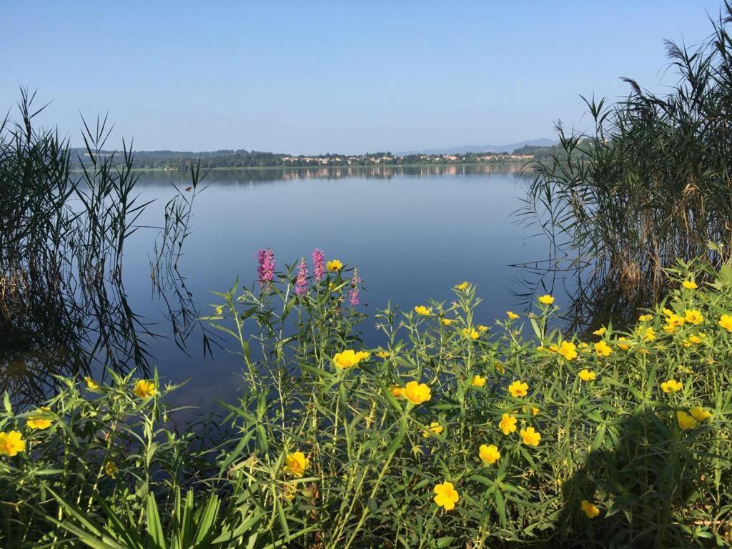 Appartamento Miralago Con Giardino Sul Lago Gavirate Exterior foto